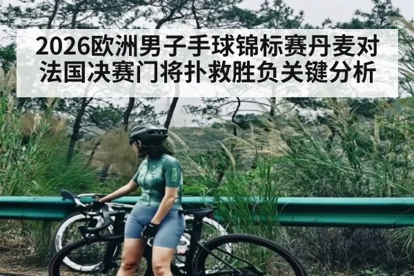 2026欧洲男子手球锦标赛丹麦对法国决赛门将扑救胜负关键分析